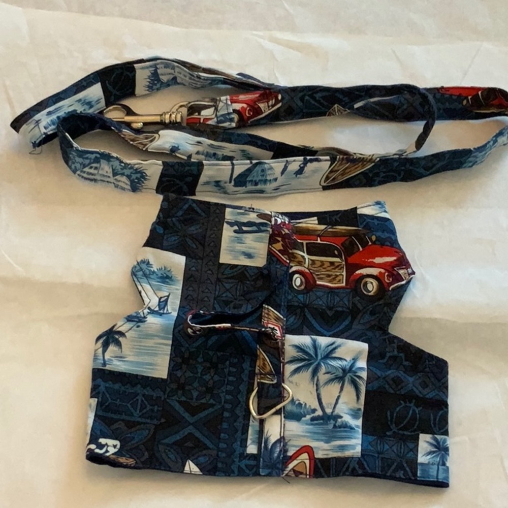 Harness/Leash Set